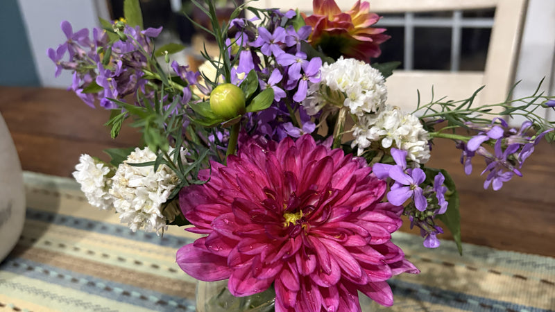 Dahlia upgrade